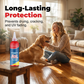 Floor Polish – Scratch Repair & High Gloss Shine 🔧✨🏠🚫🦶