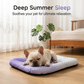 🔥LAST DAY SALE ONLY￡8.99!!❄Pet Cooling Mat for Dogs & Cats 🐾  Naturally Cool Ice-Silk Pad Breathable, Washable & Soft 🌿  For Floors, Sofas & Car Travel Multiple Sizes Gradient Colours ☀️🐶🐱