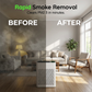 🌿 Silent Air Purifier for Home 🏠💤