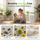 🌿 Silent Air Purifier for Home 🏠💤