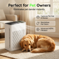 🌿 Silent Air Purifier for Home 🏠💤