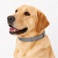 Natural Flea Collar – Non-Greasy & Adjustable for Cats/Dogs 🌿🐾✨🛡️