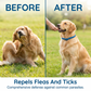 💥Last Day Special Sale 49% OFF🐕Natural Essential Oil Pet Pest Repellent Collar