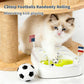 Interactive Cat Football Field Chasing Toy