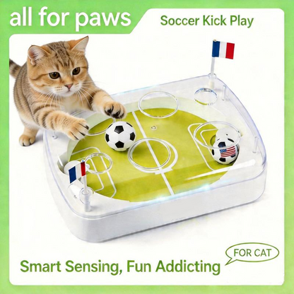 Interactive Cat Football Field Chasing Toy
