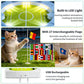 Interactive Cat Football Field Chasing Toy