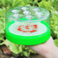 Reusable Non-Electric Fly Trap – Safe for Pets & Kids 🐶👶🚫⚡🪰