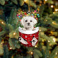 Dog In Snow Pocket Ornament